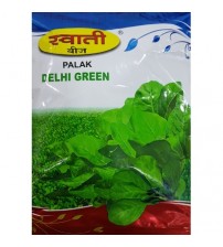 Spinach / Palak Delhi Green